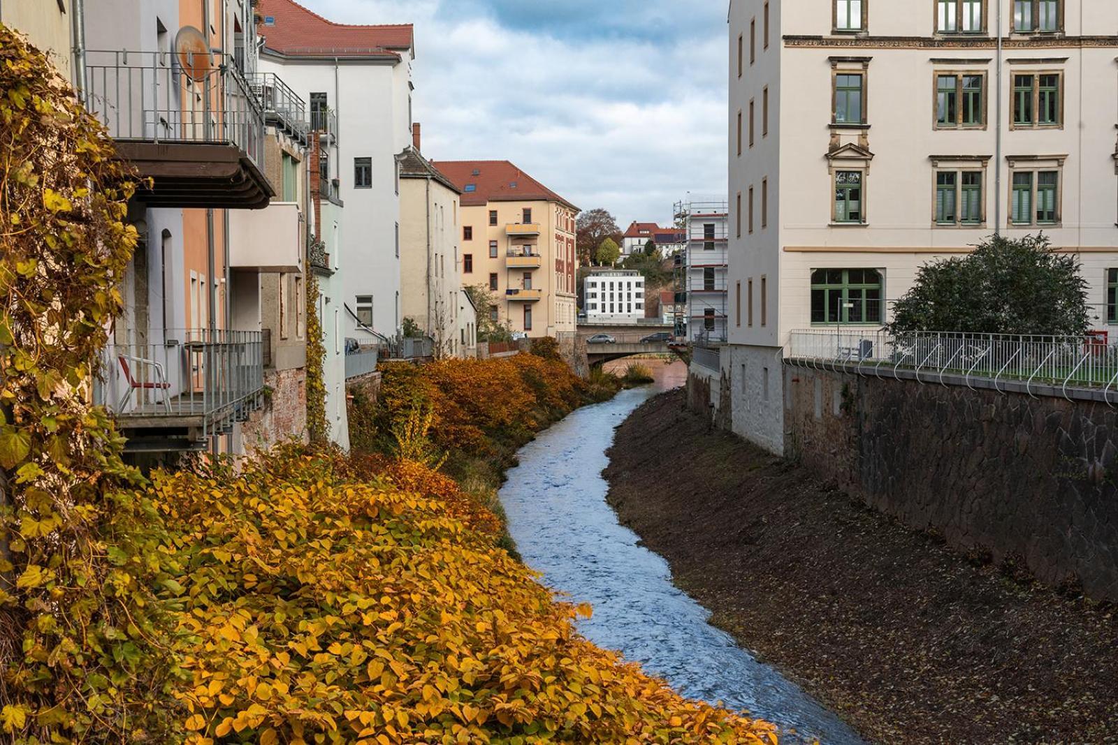 Benville Meissen - Free Parking - Nespresso Kaffee - Stylisch Экстерьер фото